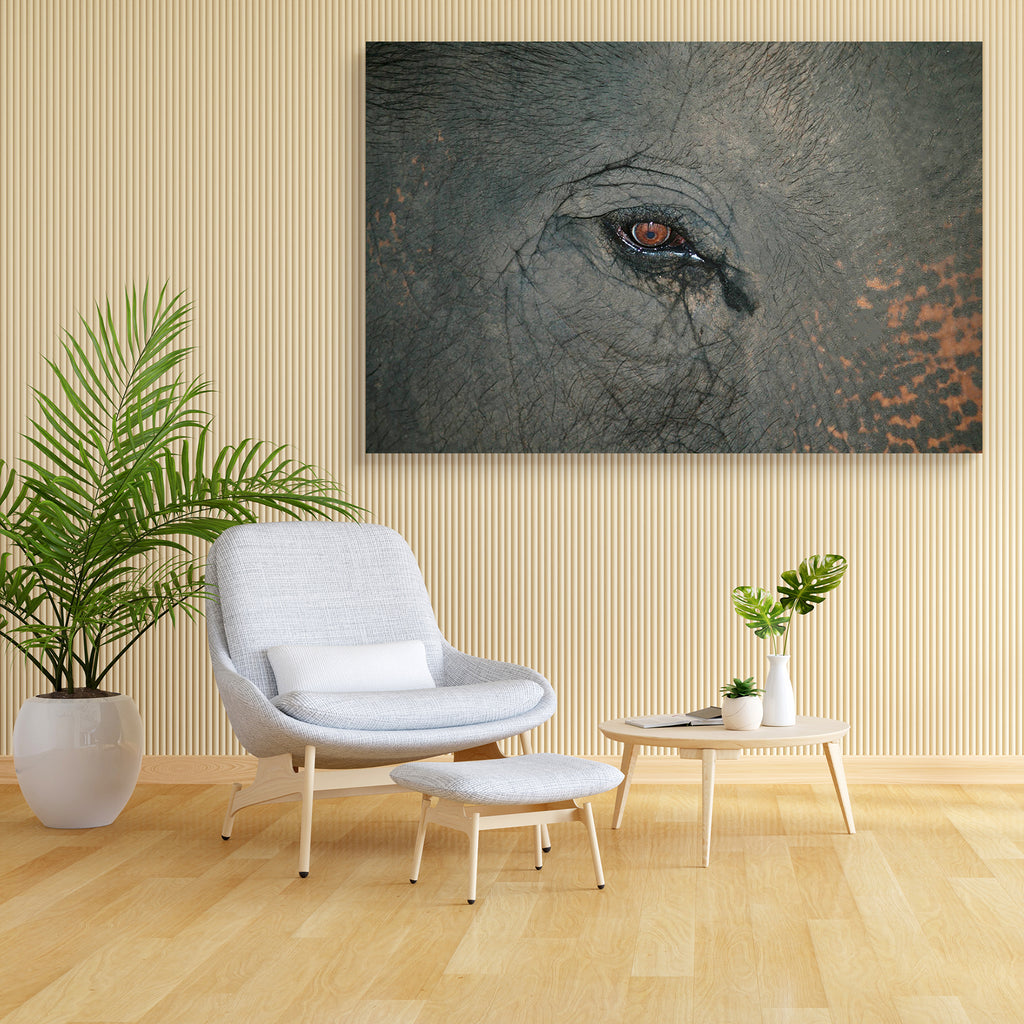 Elephant Eye D1 Canvas Painting Synthetic Frame-Paintings MDF Framing-AFF_FR-IC 5000430 IC 5000430, African, Animals, Asian, Black, Black and White, Indian, Individuals, Nature, Patterns, Portraits, Scenic, White, Wildlife, elephant, eye, d1, canvas, painting, synthetic, frame, africa, aged, animal, background, big, brown, close, closeup, cry, danger, detail, ear, ears, endangered, face, feed, gray, grey, head, large, mammal, old, pachyderm, pattern, portrait, sad, safari, skin, skinned, species, strong, te