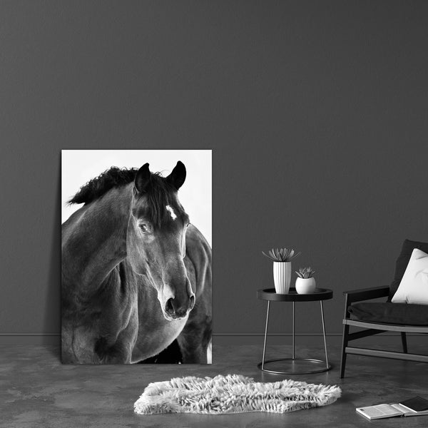 Black Horse Portrait Canvas Painting Synthetic Frame-Paintings MDF Framing-AFF_FR-IC 5000884 IC 5000884, Ancient, Animals, Black, Black and White, Bohemian, Culture, Ethnic, Historical, Individuals, Medieval, Photography, Portraits, Traditional, Tribal, Vintage, White, World Culture, horse, portrait, canvas, painting, for, bedroom, living, room, engineered, wood, frame, agriculture, animal, beautiful, bohemia, breed, carriage, czech, dark, domestic, elegant, equestrian, equine, europe, eye, grass, head, his