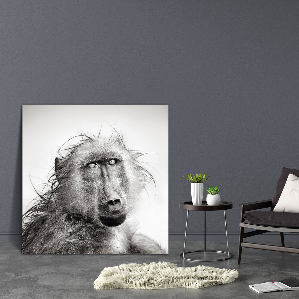 Baboon In Rain Canvas Painting Synthetic Frame-Paintings MDF Framing-AFF_FR-IC 5001018 IC 5001018, African, Animals, Art and Paintings, Black, Black and White, Individuals, Nature, Portraits, Scenic, White, Wildlife, baboon, in, rain, canvas, painting, synthetic, frame, africa, animal, art, artistic, b, w, close, up, head, mammal, monochrome, nobody, one, outdoor, portrait, wet, wild, artzfolio, wall decor for living room, wall frames for living room, frames for living room, wall art, canvas painting, wall 