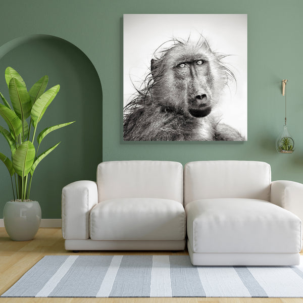 Baboon In Rain Canvas Painting Synthetic Frame-Paintings MDF Framing-AFF_FR-IC 5001018 IC 5001018, African, Animals, Art and Paintings, Black, Black and White, Individuals, Nature, Portraits, Scenic, White, Wildlife, baboon, in, rain, canvas, painting, for, bedroom, living, room, engineered, wood, frame, africa, animal, art, artistic, b, w, close, up, head, mammal, monochrome, nobody, one, outdoor, portrait, wet, wild, artzfolio, wall decor for living room, wall frames for living room, frames for living roo