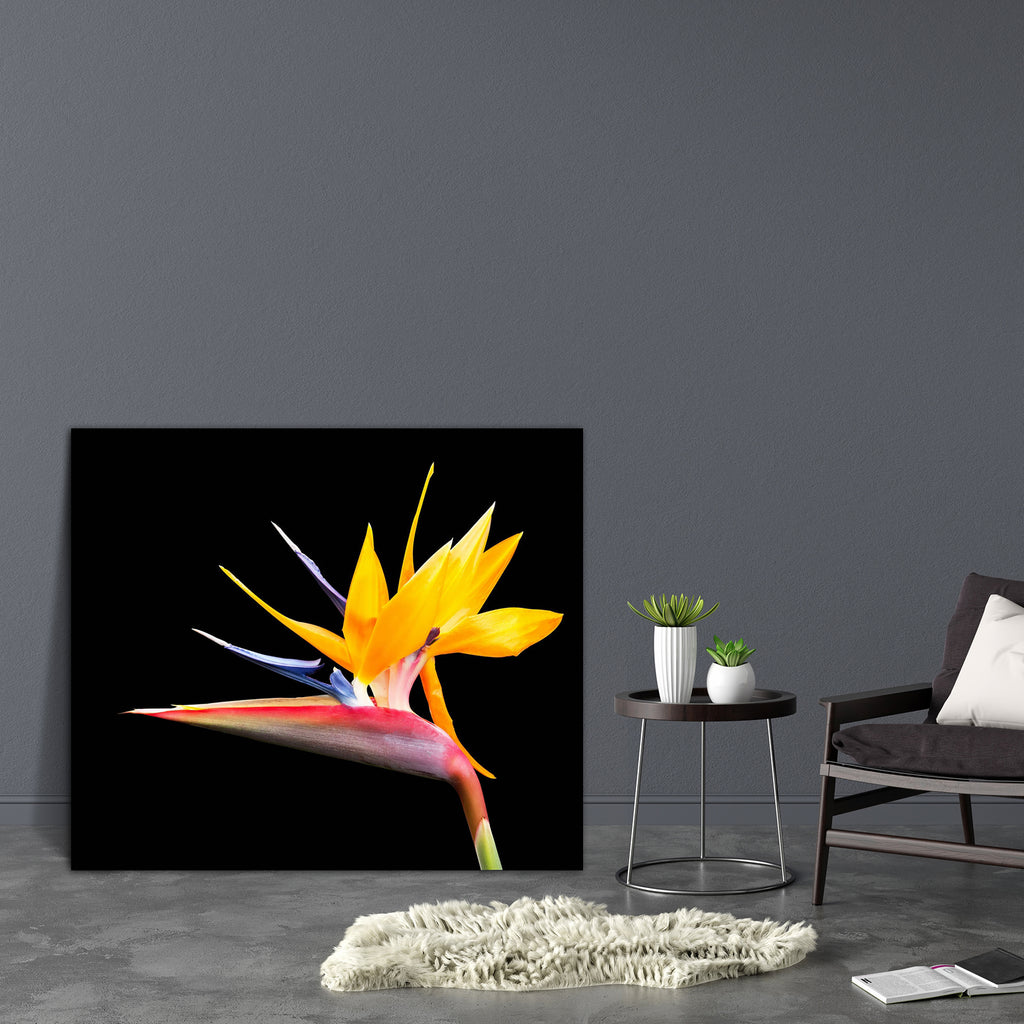 Bird Of Paradise Flower D1 Canvas Painting Synthetic Frame-Paintings MDF Framing-AFF_FR-IC 5001080 IC 5001080, Birds, Black, Black and White, Botanical, Culture, Ethnic, Floral, Flowers, Hawaiian, Nature, Traditional, Tribal, Tropical, World Culture, bird, of, paradise, flower, d1, canvas, painting, synthetic, frame, plant, beautiful, beauty, bloom, blooming, blossom, bright, close, up, color, colorful, colour, colourful, cut, out, cutout, dramatic, exotic, flora, fresh, hawaii, horticulture, isolate, isola