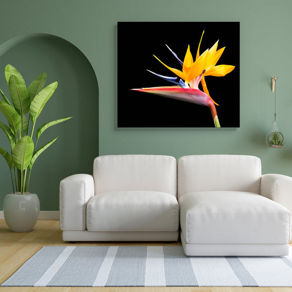 Bird Of Paradise Flower D1 Canvas Painting Synthetic Frame-Paintings MDF Framing-AFF_FR-IC 5001080 IC 5001080, Birds, Black, Black and White, Botanical, Culture, Ethnic, Floral, Flowers, Hawaiian, Nature, Traditional, Tribal, Tropical, World Culture, bird, of, paradise, flower, d1, canvas, painting, for, bedroom, living, room, engineered, wood, frame, plant, beautiful, beauty, bloom, blooming, blossom, bright, close, up, color, colorful, colour, colourful, cut, out, cutout, dramatic, exotic, flora, fresh, h