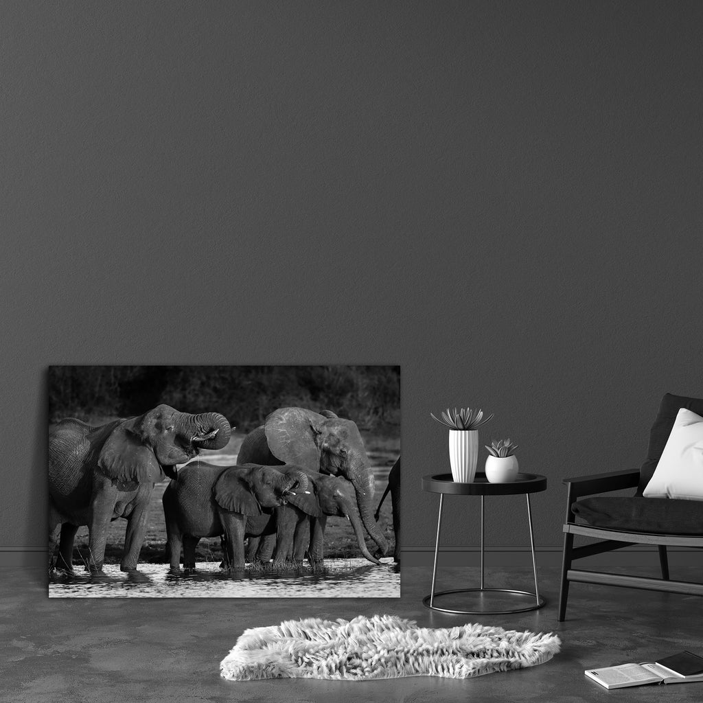 Elephants D1 Canvas Painting Synthetic Frame-Paintings MDF Framing-AFF_FR-IC 5001498 IC 5001498, African, Animals, Black, Black and White, Nature, Scenic, White, Wildlife, elephants, d1, canvas, painting, synthetic, frame, africa, animal, big, and, botswana, calf, drink, drinking, elephant, group, herd, large, mammal, outdoors, park, river, safari, thirsty, trunk, tusks, water, wild, young, artzfolio, wall decor for living room, wall frames for living room, frames for living room, wall art, canvas painting,