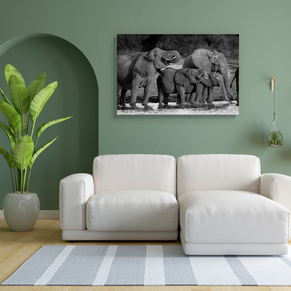 Elephants D1 Canvas Painting Synthetic Frame-Paintings MDF Framing-AFF_FR-IC 5001498 IC 5001498, African, Animals, Black, Black and White, Nature, Scenic, White, Wildlife, elephants, d1, canvas, painting, for, bedroom, living, room, engineered, wood, frame, africa, animal, big, and, botswana, calf, drink, drinking, elephant, group, herd, large, mammal, outdoors, park, river, safari, thirsty, trunk, tusks, water, wild, young, artzfolio, wall decor for living room, wall frames for living room, frames for livi