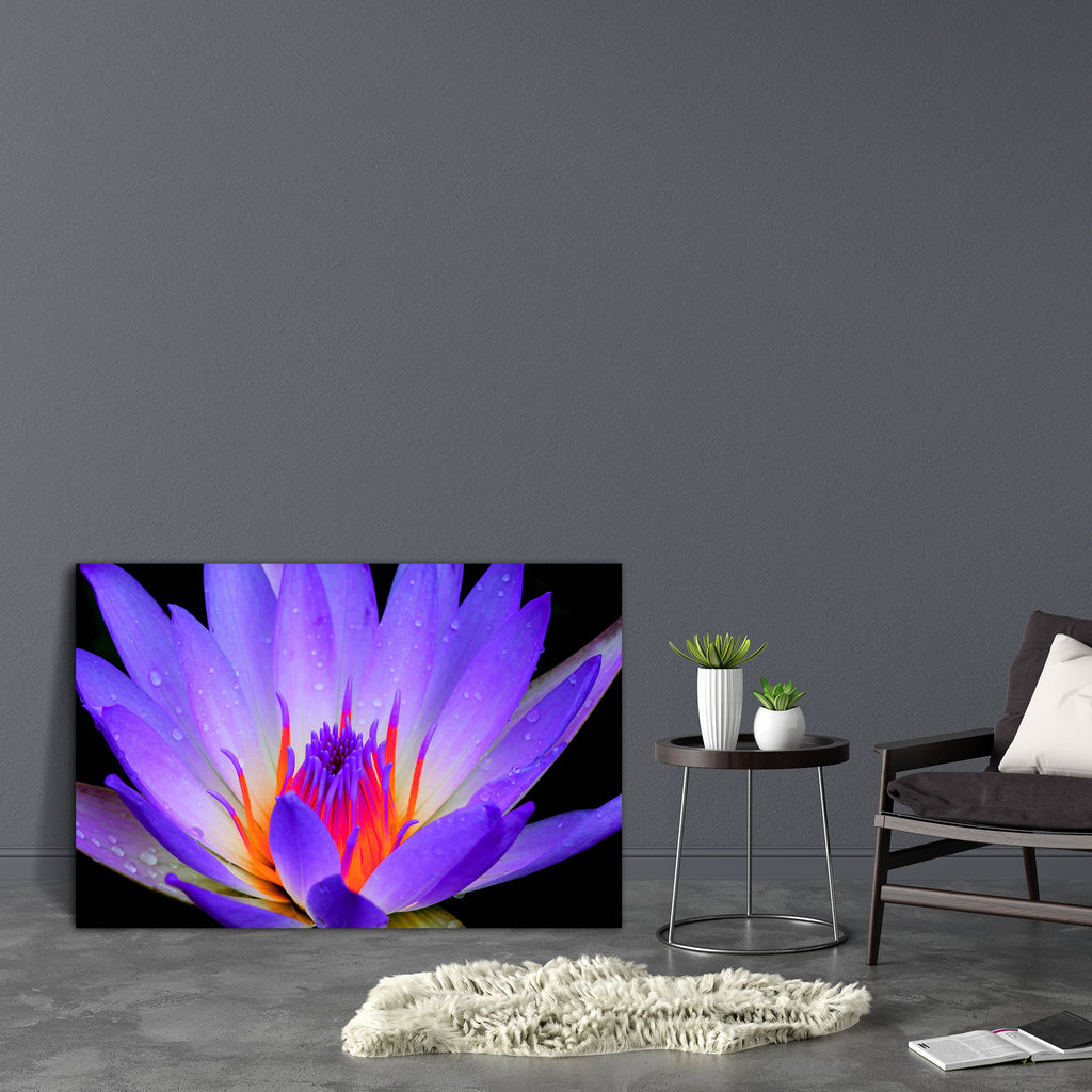 Lotus D2 Canvas Painting Synthetic Frame-Paintings MDF Framing-AFF_FR-IC 5002364 IC 5002364, Black, Black and White, Botanical, Floral, Flowers, Nature, Scenic, Seasons, Tropical, lotus, d2, canvas, painting, synthetic, frame, flower, aquatic, background, beautiful, beauty, bloom, blooming, blossom, blue, botany, bright, close, closeup, color, colorful, exotic, flora, fresh, garden, green, large, leaf, leaves, life, light, lilly, lily, macro, natural, one, outdoor, petal, pink, plant, plate, purple, romanti