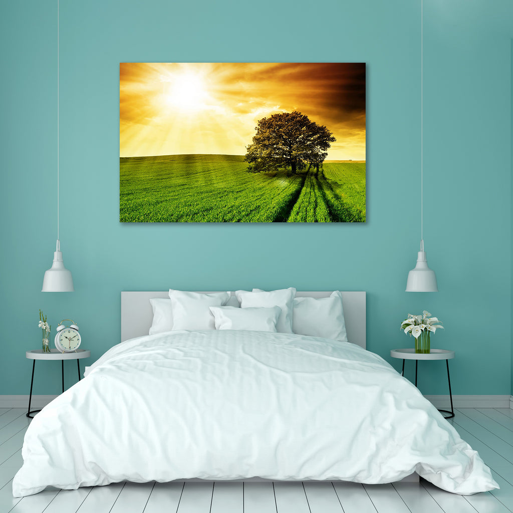 Lonely Tree Peel & Stick Vinyl Wall Sticker-Laminated Wall Stickers-ART_VN_UN-IC 5005738 IC 5005738, Countries, Landscapes, Nature, Rural, Scenic, Seasons, Sunrises, Sunsets, lonely, tree, peel, stick, vinyl, wall, sticker, sunrise, oak, background, backlit, beautiful, branch, bright, clouds, cloudscape, colorful, colors, country, countryside, dawn, daylight, dusk, field, foliage, freedom, golden, grassland, horizon, land, landscape, meadow, morning, one, orange, outdoor, picturesque, season, silhouette, si