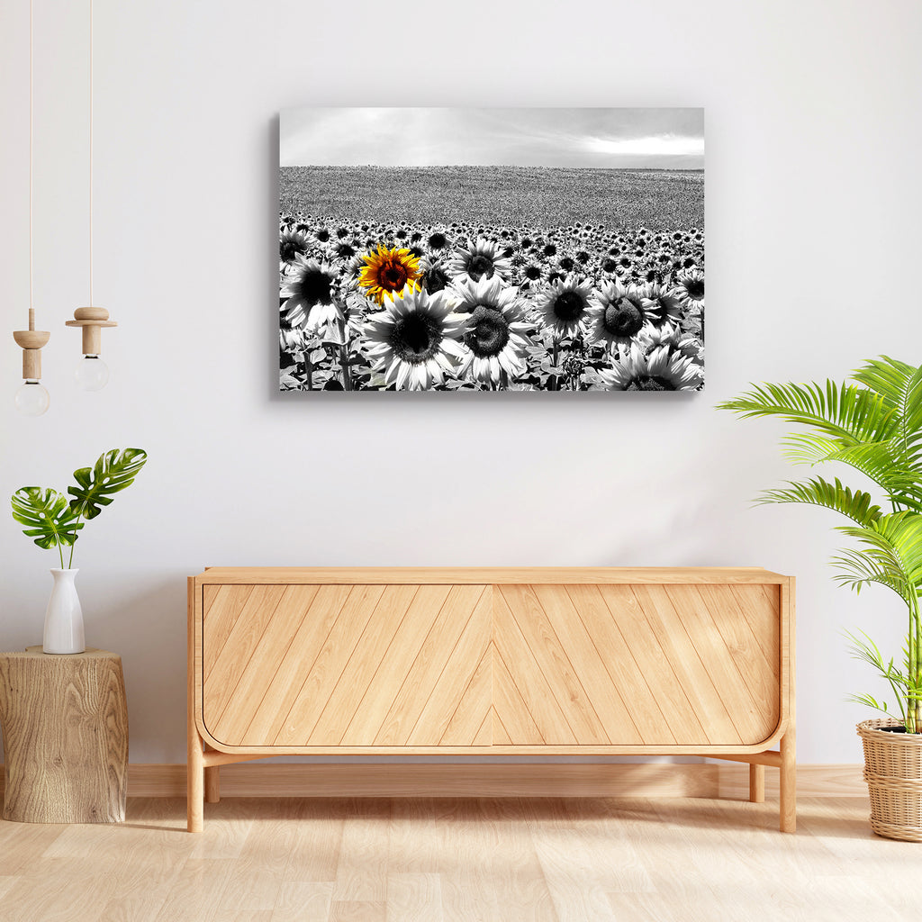 Sunflower Field Peel & Stick Vinyl Wall Sticker-Laminated Wall Stickers-ART_VN_UN-IC 5005747 IC 5005747, Black, Black and White, Botanical, Circle, Countries, Culture, Ethnic, Floral, Flowers, Landscapes, Nature, Rural, Scenic, Seasons, Traditional, Tribal, White, World Culture, sunflower, field, peel, stick, vinyl, wall, sticker, and, stand, out, sunflowers, differentiate, agriculture, background, beautiful, blossom, blue, colorful, contrast, country, farming, flora, flower, green, growth, landscape, leaf,