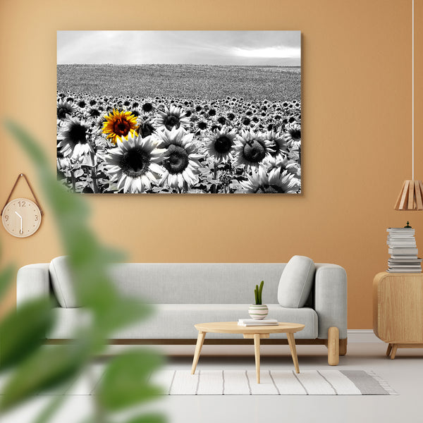 Sunflower Field Peel & Stick Vinyl Wall Sticker-Laminated Wall Stickers-ART_VN_UN-IC 5005747 IC 5005747, Black, Black and White, Botanical, Circle, Countries, Culture, Ethnic, Floral, Flowers, Landscapes, Nature, Rural, Scenic, Seasons, Traditional, Tribal, White, World Culture, sunflower, field, peel, stick, vinyl, wall, sticker, for, home, decoration, and, stand, out, sunflowers, differentiate, agriculture, background, beautiful, blossom, blue, colorful, contrast, country, farming, flora, flower, green, g