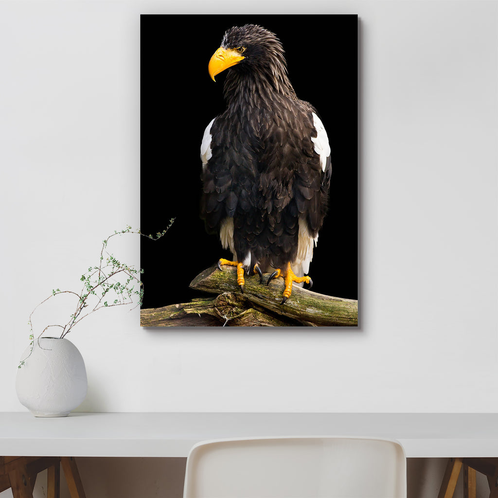 Steller Sea Eagle Haliaeetus Pelagicus Peel & Stick Vinyl Wall Sticker-Laminated Wall Stickers-ART_VN_UN-IC 5006186 IC 5006186, Animals, Birds, Individuals, Nature, Portraits, Scenic, Sunsets, Wildlife, steller, sea, eagle, haliaeetus, pelagicus, peel, stick, vinyl, wall, sticker, animal, beak, bird, dawn, dramatic, eye, face, falconry, feather, freedom, full, length, head, nobody, orientation, portrait, predator, profile, raptor, rising, serious, sky, sunset, vigilant, wild, wing, artzfolio, wall sticker, 