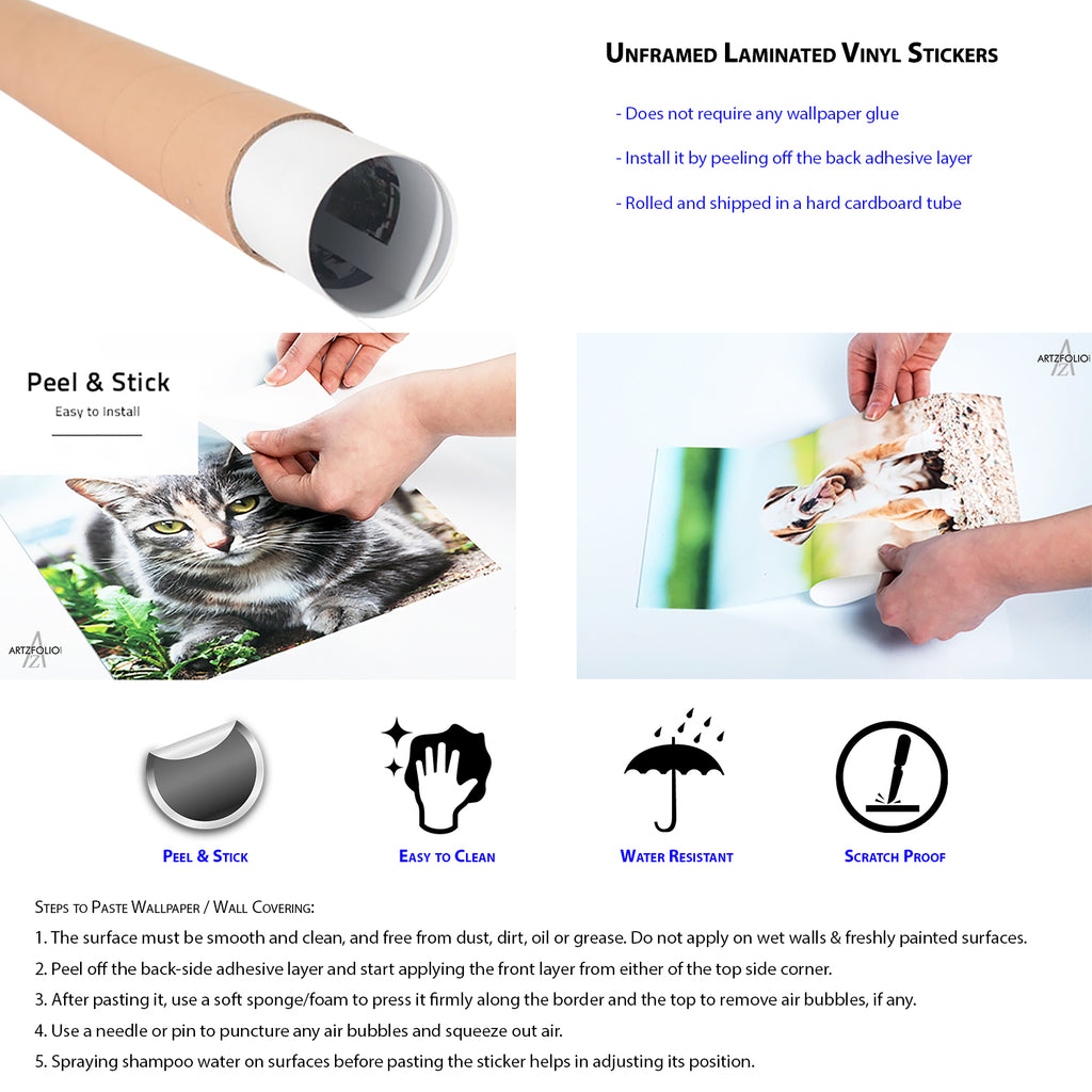Image of Frozen Fruits Peel & Stick Vinyl Wall Sticker-Laminated Wall Stickers-ART_VN_UN-IC 5006332 IC 5006332, Black and White, Cuisine, Food, Food and Beverage, Food and Drink, Fruit and Vegetable, Fruits, Pop Art, White, image, of, frozen, peel, stick, vinyl, wall, sticker, assorted, background, berry, blueberry, candy, coconut, cold, color, cream, creamy, dairy, dessert, flavor, freeze, fruit, green, healthy, eating, ice, kiwi, lollipop, lolly, natural, nobody, orange, peach, pink, product, red, refresh
