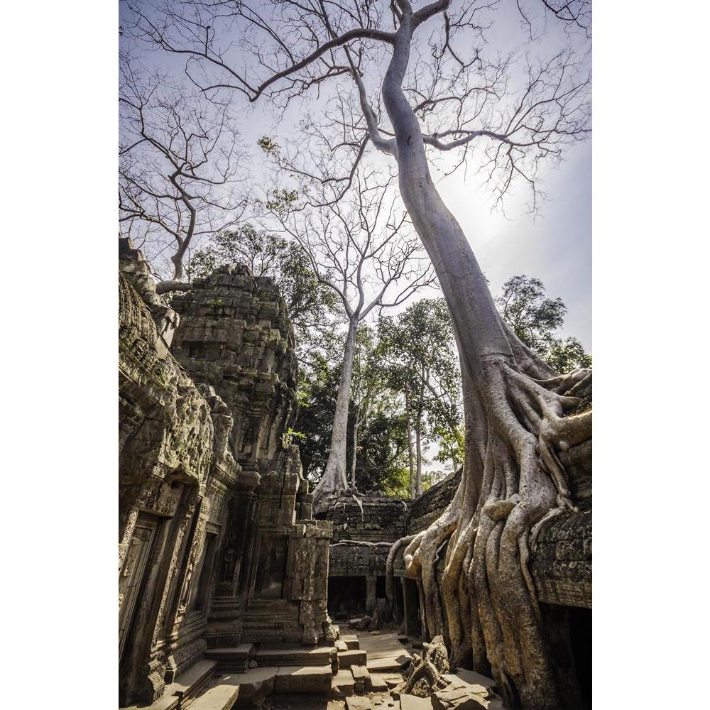 Ancient Temples Of Ta Phrom, Angkor Wat, Cambodia Canvas Painting Synthetic Frame-Paintings MDF Framing-AFF_FR-IC 5001154 IC 5001154, Ancient, Architecture, Asian, Automobiles, Buddhism, God Buddha, Hinduism, Historical, Landmarks, Landscapes, Marble and Stone, Medieval, Nature, Places, Religion, Religious, Scenic, Transportation, Travel, Vehicles, Vintage, temples, of, ta, phrom, angkor, wat, cambodia, canvas, painting, synthetic, frame, archeology, asia, buddha, building, carving, cloud, destination, dest