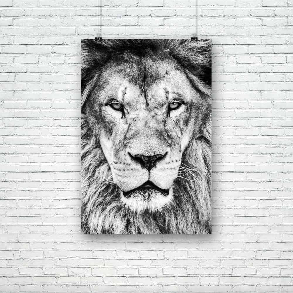 African Lion Unframed Paper Poster-Paper Posters Unframed-POS_UN-IC 5002563 IC 5002563, African, Animals, Black, Black and White, Individuals, Nature, Portraits, Scenic, Space, White, lion, unframed, paper, poster, africa, animal, beautiful, and, carnivore, cat, close, up, closeup, copy, creature, danger, dangerous, endangered, environment, exotic, face, fur, furry, grass, habitat, hair, head, horizontal, hunter, image, king, large, leo, looking, majestic, male, mammal, mane, natural, park, portrait, predat