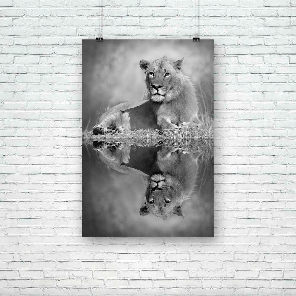 Lion D5 Unframed Paper Poster-Paper Posters Unframed-POS_UN-IC 5003237 IC 5003237, African, Animals, Automobiles, Baby, Black, Black and White, Children, Kids, Nature, Scenic, Transportation, Travel, Vehicles, White, Wildlife, lion, d5, unframed, paper, poster, africa, animal, big, bush, conservation, endangered, hunter, large, mammal, mother, park, predator, refreshing, reserve, safari, small, south, stock, strong, tourism, tourist, trunk, wild, zambia, artzfolio, posters, wall posters, posters for room, p