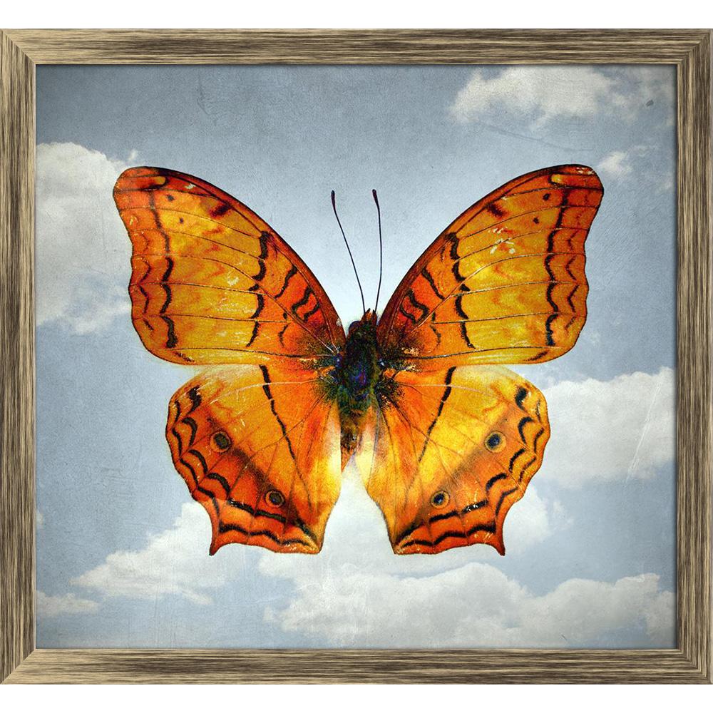 ArtzFolio Double Effect Butterfly Background Image D4 Canvas Painting Synthetic Frame-Paintings Synthetic Framing-AZ5006795ART_FR_RF_R-0-Image Code 5006795 Vishnu Image Folio Pvt Ltd, IC 5006795, ArtzFolio, Paintings Synthetic Framing, Birds, Vintage, Digital Art, double, effect, butterfly, background, image, d4, canvas, painting, synthetic, frame, framed, print, wall, for, living, room, with, poster, pitaara, box, large, size, drawing, art, split, big, office, reception, photography, of, kids, panel, desig